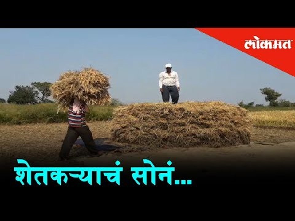 Sweat of a farmer now, pays off with a real gol...