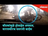 A biker trashes his bike into a car due to night insects | Krishna River Plate of Ankali (T. Miraj)