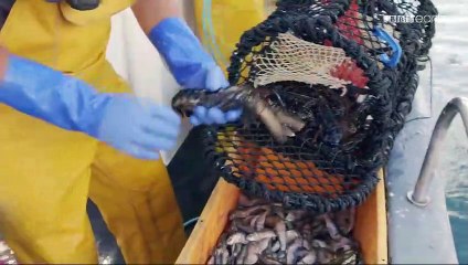 Simon Reeve w Kornwalii cz.1