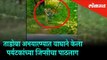 A Tiger chased the tourists Jeep in the Tadoba Wildlife Sanctuary | Maharashtra