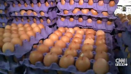 Tane yumurtanın fiyatı 43 kuruştan 80 kuruşa yükseldi