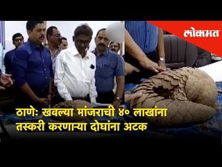 ठाणेः खवल्या मांजराची ४० लाखांना तस्करी करणाऱ्या दोघांना अटक