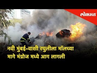नवी मुंबई-वाशी रघुलीला मॉलच्या मागे मंग्रोज मध्ये आग लागली | Fire breaks out in Mangroves - Vashi