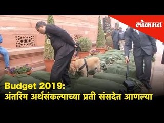 Budget 2019: अंतरिम अर्थसंकल्पाच्या प्रती संसदेत आणल्या |Interim Budget copies brought to Parliament