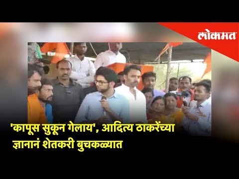 'कापूस सुकून गेलाय', Aditya Thackerayच्या ज्ञानानं शेतकरी बुचकळ्यात