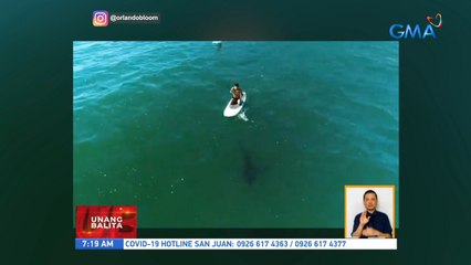 Orlando Bloom, nag-paddleboarding kasama ang isang great white shark | UB