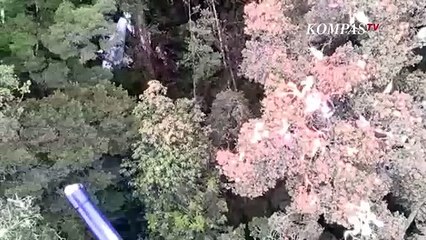 Hancur & Terbakar!! Penampakan Pesawat Rimbun Air PK-OTW Saat Ditemukan