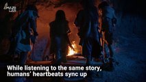 Human Heartbeats Sync Up When Listening to the Same Story