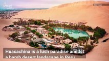 This Town Built Around a Desert Oasis Wows Residents and Visitors Alike