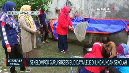 Скачать видео: Manfaatkan Waktu Luang, Sejumlah Guru Di Kota Kediri Sukses Beternak Ikan Lele Di Lingkungan Sekolah