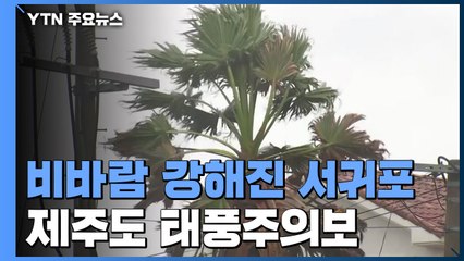 [날씨] 비바람 강해진 서귀포...제주도 전 지역 태풍주의보 / YTN