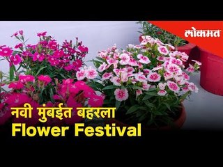 Download Video: नवी मुंबईत बहरला Flower Festival Exhibition | Navi Mumbai - Lokmat