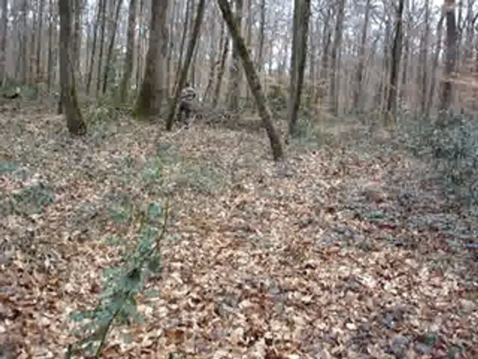 airsoft