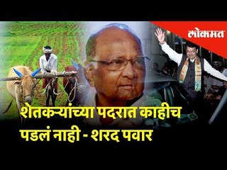 शेतकऱ्यांच्या पदरात काहीच पडलं नाही - शरद पवार | Lok Sabha Election 2019 | Lokmat News