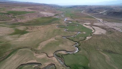 (DRONE) Susuz geçen yaz Başkale mendereslerini de etkiledi