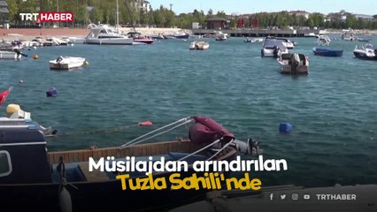 Tuzla Sahili müsilajdan arındırıldı, dalgıçlar çay keyfi yaptı
