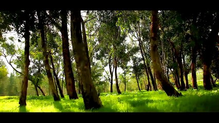 Makara Sankranti  - A Time of Change  by Sadhguru
