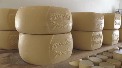 Yurt genelindeki kuraklık tescilli Kars kaşarı üretimini de etkiledi