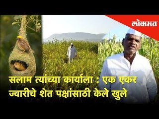सलाम त्यांच्या कार्याला : एक एकर ज्वारीचे शेत पक्षांसाठी केले खुले | Lokmat News