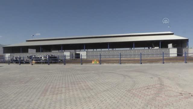 Genç girişimci devlet desteğiyle yüksek verimli hayvancılık yapıyor