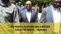 My model is on baking a bigger cake for Kenya - Wanjigi