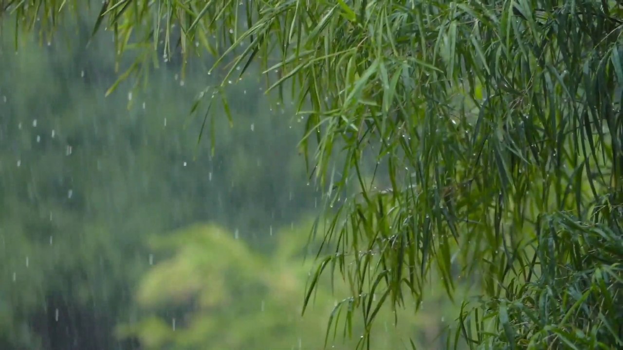 Nature's Greatest beauty - Rainfall
