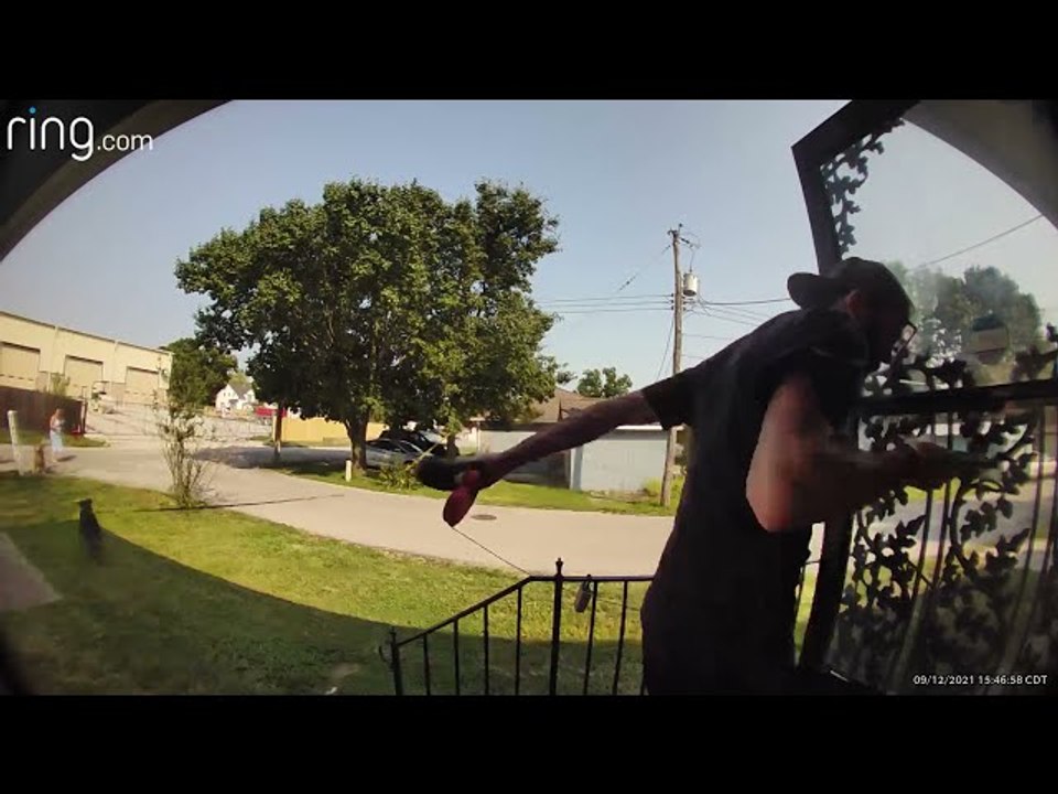 Dog Launches Man Into the Air With Extendable Lead