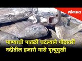 पाण्याची पातळी घटल्याने गोदावरी नदीतील हजारो मासे मृत्युमुखी | Lokmat News