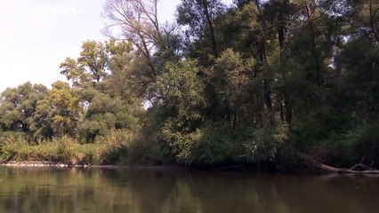 Magyarország is része a világ első, öt országon átívelő bioszféra-rezervátumának