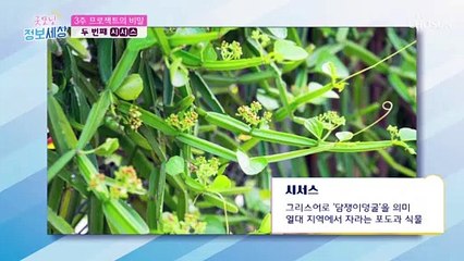 체지방 Bye~ ❛이것❜으로 다이어트 성공하자 TV CHOSUN 210917 방송