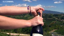 Guerra entre Italia y Croacia por sus vinos prosecco y prosek