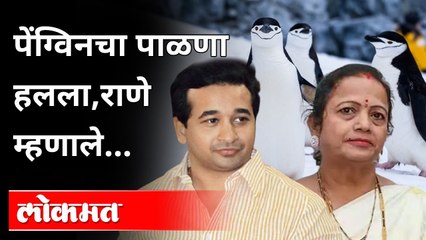पेंग्विन कक्षात दुसऱ्यांदा पाळणा हलला; नितेश राणेंची टीका | Nitesh Rane On Mayor Kishori Pednekar