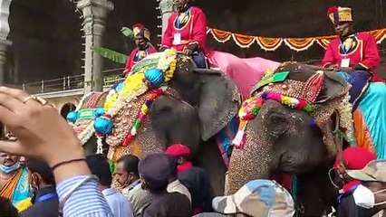 मैसूरु दशहरा महोत्सव: महल में मंगल ध्वनि से हुआ गजराजों का स्वागत