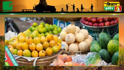 Kisan Bulletin :  बागवानी फसलों को बढ़ावा देने के लिए फल क्षेत्र विस्तार योजना का होगा संचालन, Kisano को फल उत्पादन पर मिलेगा 50% का अनुदान || Green TV
