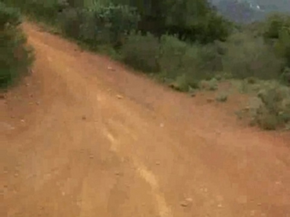 reprise ortale 01/03/08