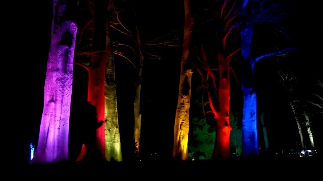 Christmas Light Trails 2021 - 14 UK illuminated winter walks