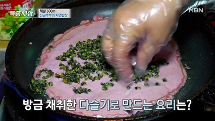 다슬기 비트 전! (맛있겠다)