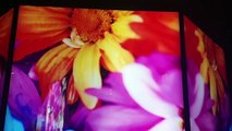 Florae, dai fiori dei gioielli Van Cleef a quelli evanescenti di Mika Ninagawa