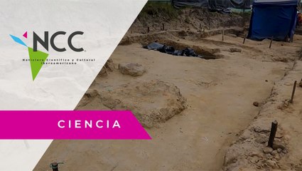 Download Video: En Bogotá hallan tumbas con restos prehispánicos durante excavaciones