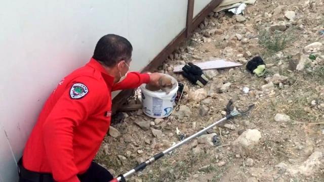 Son dakika haberleri: KIRIKKALE - Konteynerin altına sığınan yavru köpekleri itfaiye kurtardı