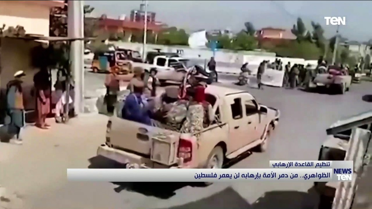 الظواهري.. من دمر الأمة بإرهابه لن يعمر فلسطين