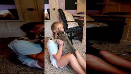 Kiddo Gets Kisses From Cuddly Raccoon