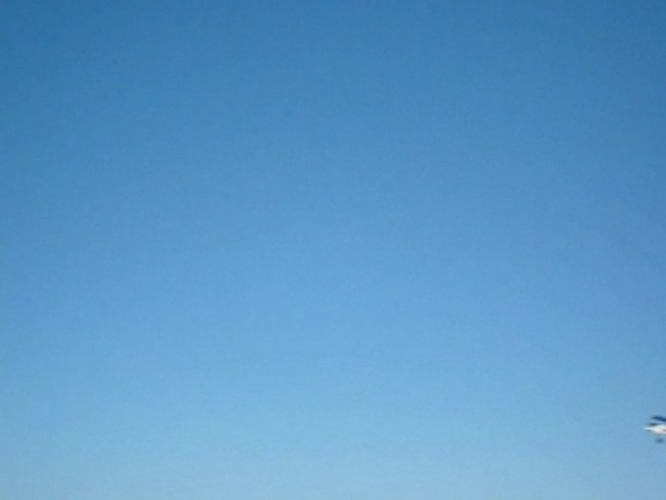 Vol belt cp débutant + avion thermique haile basse RC