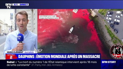 Hugo Clément interpelle "tous les représentants de l'Union européenne" dont "le gouvernement français" sur le massacre de dauphins aux Îles Féroé