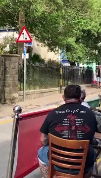 Cette mouette est une spécialiste du vol de nourriture sur touriste