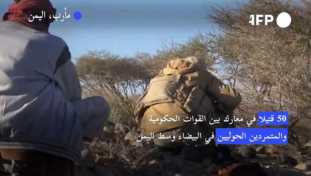 50 قتيلا في معارك بين القوات الحكومية والمتمردين الحوثيين في البيضاء وسط اليمن