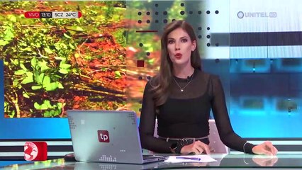 Gobierno rechaza memorando "unilateral" de EEUU en el que acusa a Bolivia de fallar en la lucha antidroga