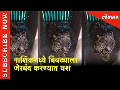 नाशिकमध्ये बिबट्याला जेरबंद करण्यात यश | Leopard Rescue in Nashik city | Lokmat News