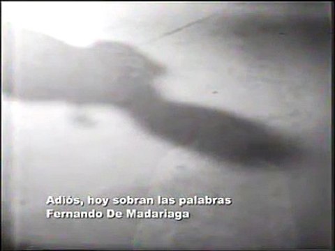 Adiós hoy sobran las palabras -Fernando de Madariaga