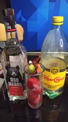 vodka oso negro con fresas congeladas y agua mineral de manantial topo chico refrescante bebida relajante